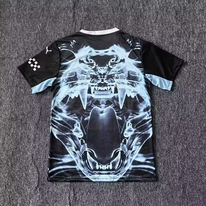 Man City Special Soccer Jersey 2025 2026-c2139
