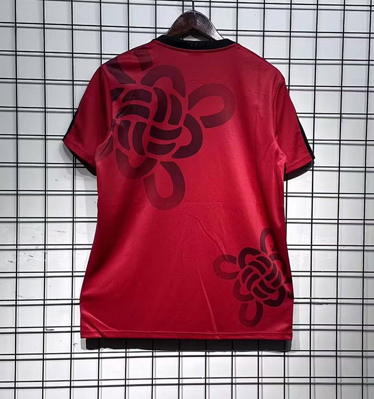 Man United Special Soccer Jersey 25 26-bingyue