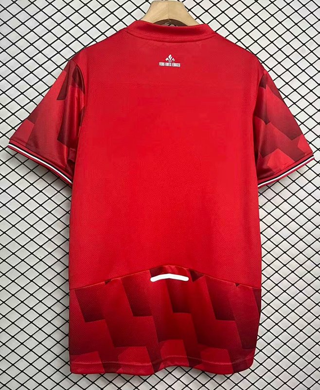 Lille Home Soccer Jersey 2025 2026-baiyue
