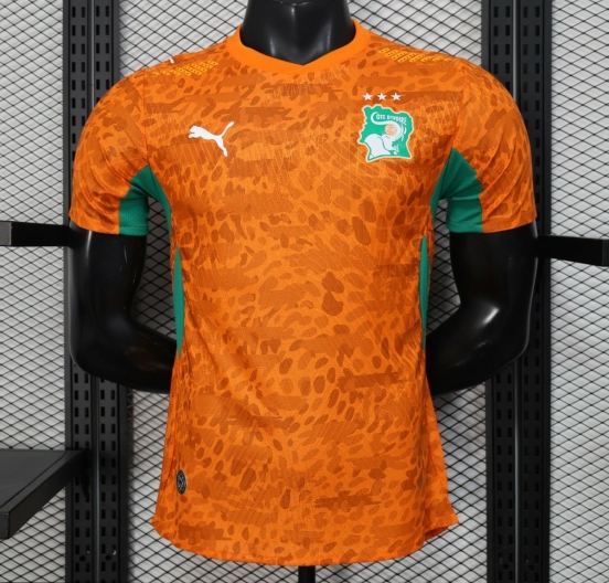 2026 Player Version Ivory Coast Jersey