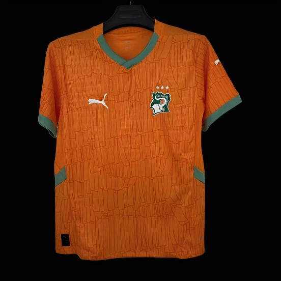 Player Version 2026 Ivory Coast Jersey