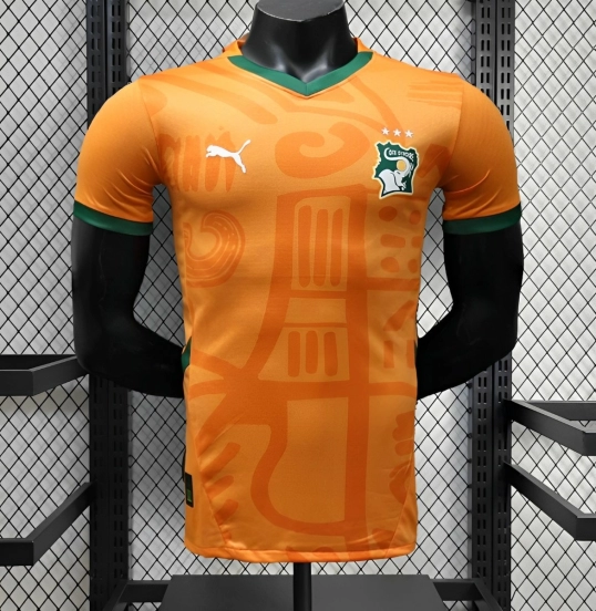 25 Player Version Ivory Coast Jersey