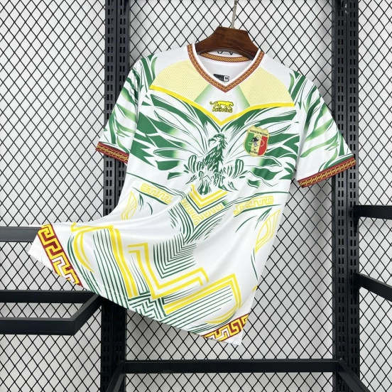 2026 Mens Mali Jersey