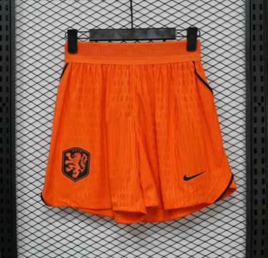 Player Version 26-27 Netherlands Orange Shorts